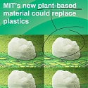 MIT’s New Plant-based Material Could Replace Plastics
