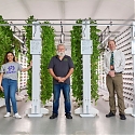 Net-zero Vertical Farm Aims to Solve a Growing Berry Problem