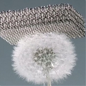 (Video) Boeing has made a metal structure light enough to sit on top of a dandelion