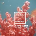 Pantone's Color of the Year is a Vibrant Start to 2019