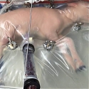 (Video) An Artificial Womb Successfully Grew Baby Sheep - And Humans Could be Next