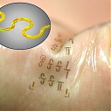 Fast, Stretchy Circuits Could Yield New Wave of Wearable Electronics