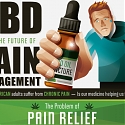 (Infographic) CBD And The Future Of Pain Management