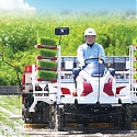 Autonomous Rice Transplanter Set to Head for the Paddies - Yanmar's YR8D