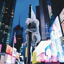 Koalas of NYC