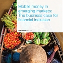 (PDF) Mckinsey - Mobile Money in Emerging Markets : The Business Case for Financial Inclusion