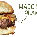 Plant-Based Meat Alternatives Make Significant Advancements