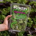 Bowery Raises $50M More For Indoor, Pesticide-Free Farms