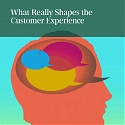 (PDF) BCG - What Really Shapes the Customer Experience