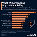 What Will Americans Buy on Black Friday ?