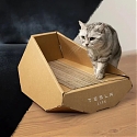 Tesla Releases Cardboard Cat House Informed by Cybertruck in China