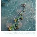 (PDF) Bain’s 2023 CEO Sustainability Guide