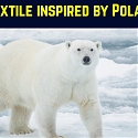 (Paper) New Textile Unravels Warmth-trapping Secrets of Polar Bear Fur