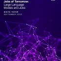 (PDF) WEF - Jobs of Tomorrow: Large Language Models and Jobs