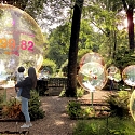 This Floating Bubble Visualization Emphasizes Forestry