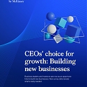 (PDF) Mckinsey - CEOs’ Choice for Growth : Building New Businesses