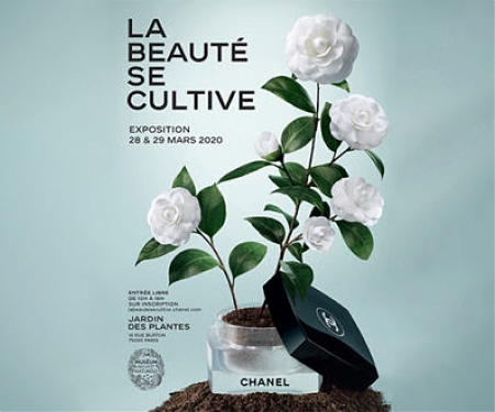 Museums Provide the Inspiration Behind These Immersive Brand Experiences