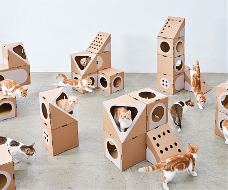 This Modular Cat Furniture is Made from Cardboard Boxes - A Cat Thing