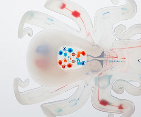 (Video) Harvard's Octobot - The First Autonomous, Entirely Soft Robot