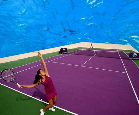 Tennis Court Boasts Ocean Life as Spectators