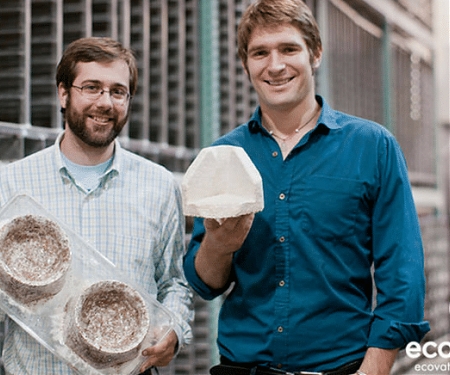 Ecovative Turns Mushrooms Into Walls, Packaging and Now Meat