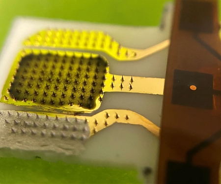 (Paper) Plant Patch Can Detect Stress Signals in Real Time
