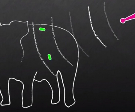 (PDF) MIT - You May be able to Monitor Your Stomach from Your Smartphone