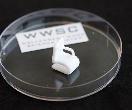 3D-Printed Objects Created Entirely from Wood Cellulose