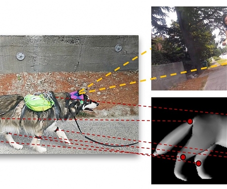 (PDF) Who’s a Good AI ? Dog-based Data Creates a Canine Machine Learning System