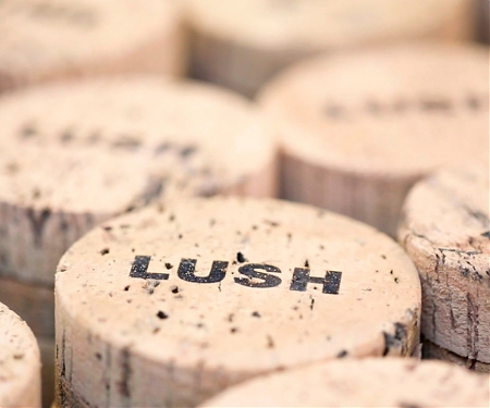 5 Innovative Ideas in Sustainable Beauty Packaging