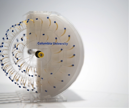 (Video) Capturing Clean Energy from Evaporating Water