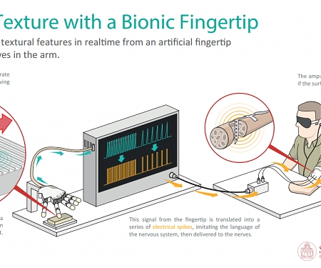 (Video) Artificial Fingertip Allows Man to Regain Feeling In His Phantom Hand