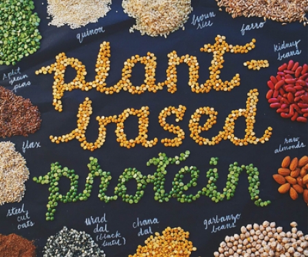 Plant Based Proteins are Gaining Dollar Share Among North Americans