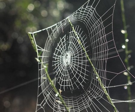 From Spider Silk Shoes to Algae Fuel, Welcome to the New Age of Biotech