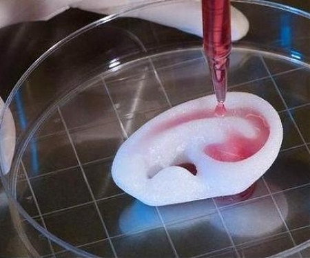 Understanding the Fundamentals of the 3D Bioprinting Space