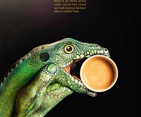 McDonald's Iguana