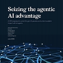 (PDF) Mckinsey - A CEO Playbook : Seizing The Agentic AI Advantage