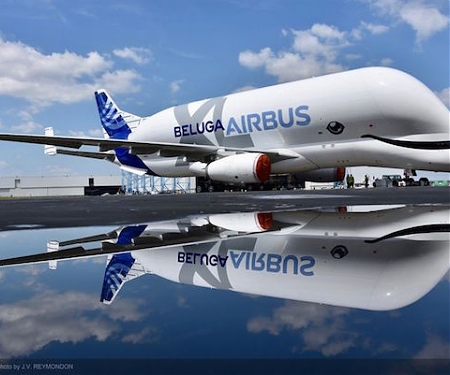 Airbus ‘BelugaXL’ Massive New Airplane Whale Go Where No Marine Mammal Has Gone Before