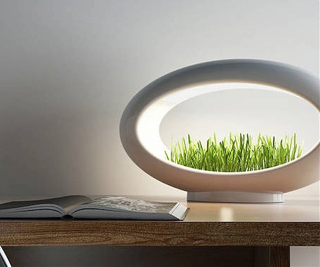 Grasslamp - The Modern Desktop Garden