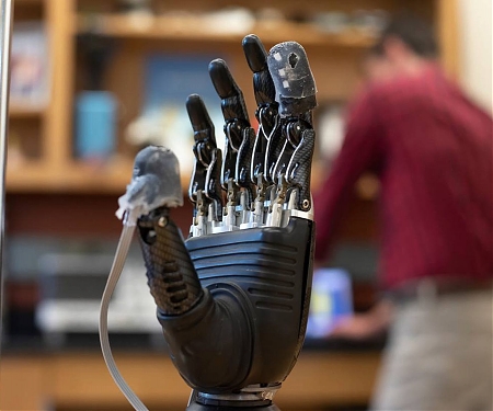 (PDF) Electronic Skin Lets Any Prosthesis Feel Touch and Pain