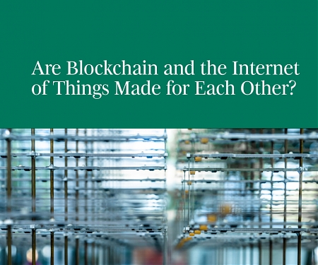 (PDF) BCG - Are Blockchain and The IoT Made for Each Other ?