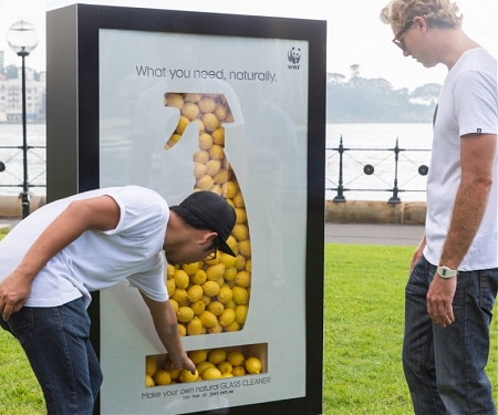 Saving the Planet with a Little Cinnamon, Lemons and Banana Peel