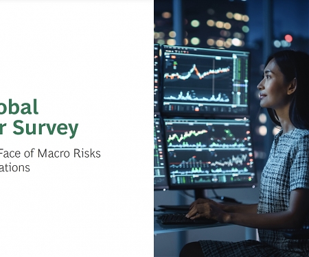 (PDF) BCG - 2024 Global Investor Survey