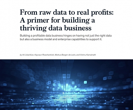 (PDF) Mckinsey - From Raw Data to Real Profits