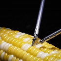Sony's New Microsurgery Robot Stitches Up a Corn Kernel