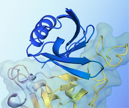 (Paper) Google DeepMind's Breakthru AI for "Protein Design" - AlphaProteo