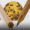 Mind-Bending ‘Hollow Pencil’ Reduces Wood And Waste By Almost 85%