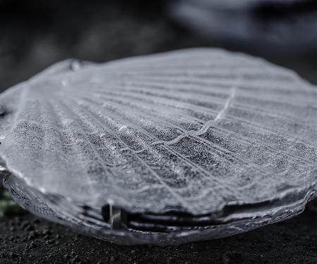 (Video) Clam-shaped Kinetic Sound Sculptures Sing of The Quality of Water