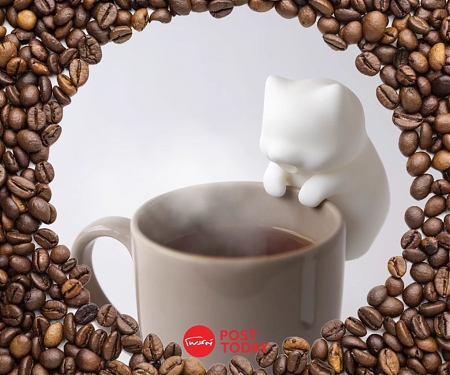 (CES 2025) Nékojita FuFu,’Attachable Mini-Robot That Cools Hot Drinks/Food