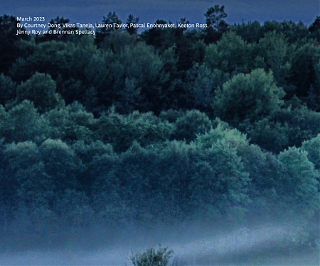 (PDF) BCG - The Next Frontier in Carbon Credits : Consumers